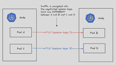 图 6:具有不同会话密钥的流量