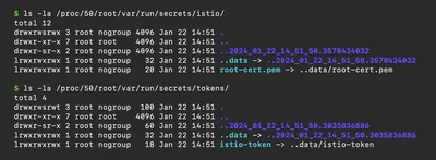 通过我们的 sidecar 容器访问 Istio 令牌